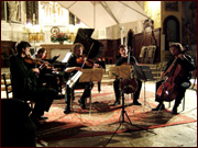 Frédéric Audibert - Violoncelliste